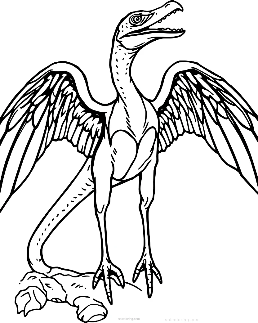 Pterodactyl coloring page for kids