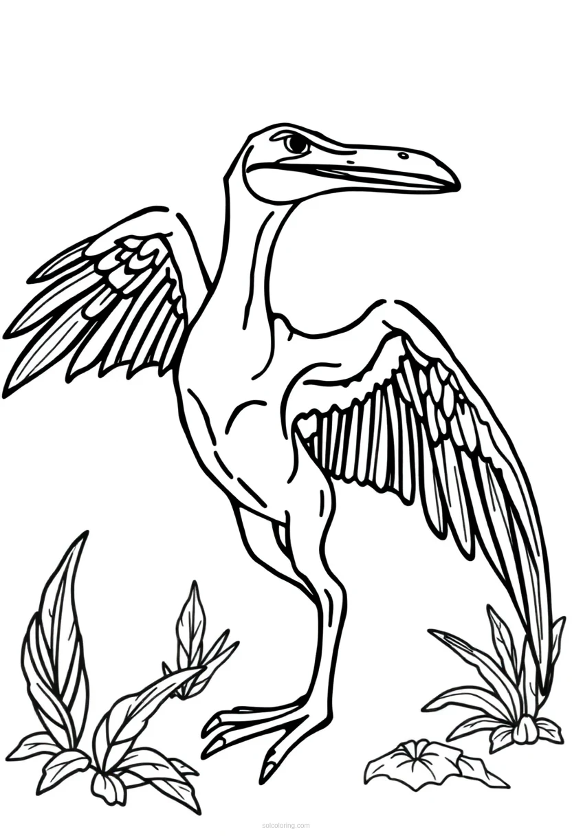 Pterodactyl coloring page for kids