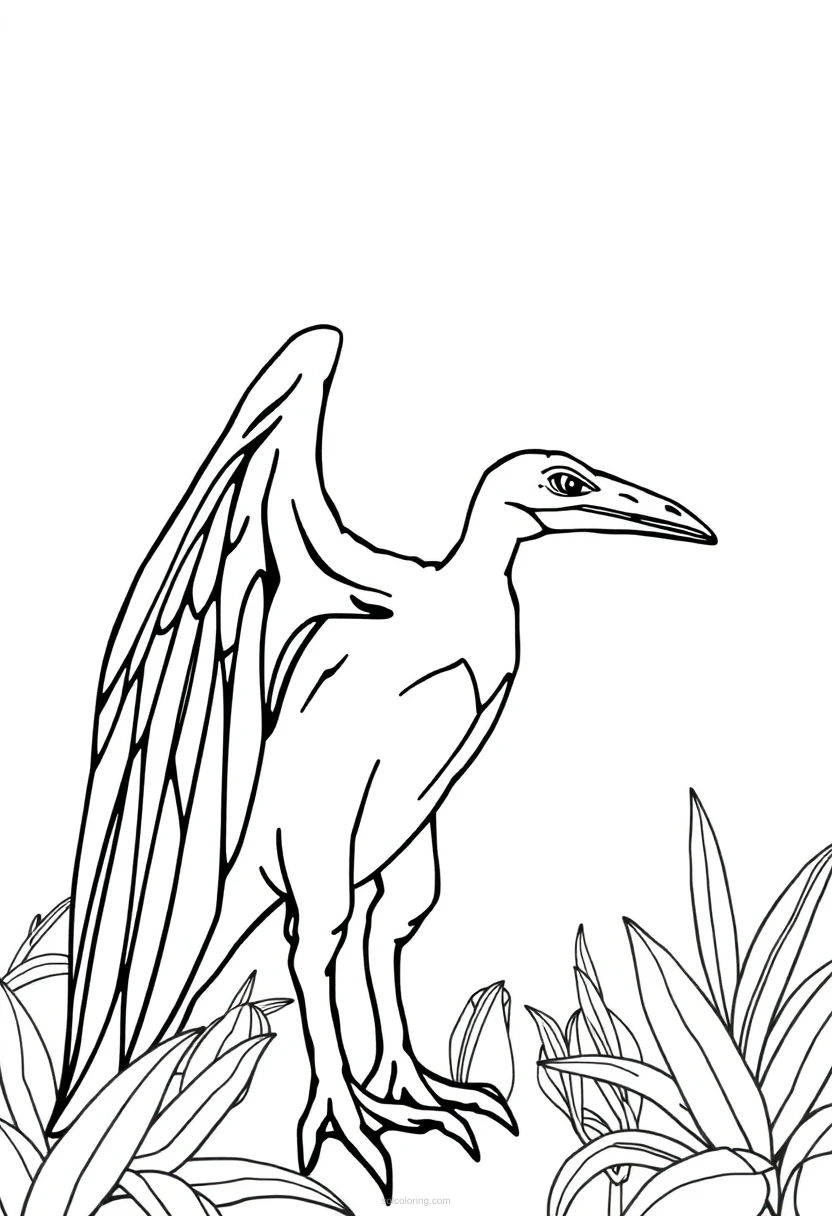 Pterodactyl coloring page for kids