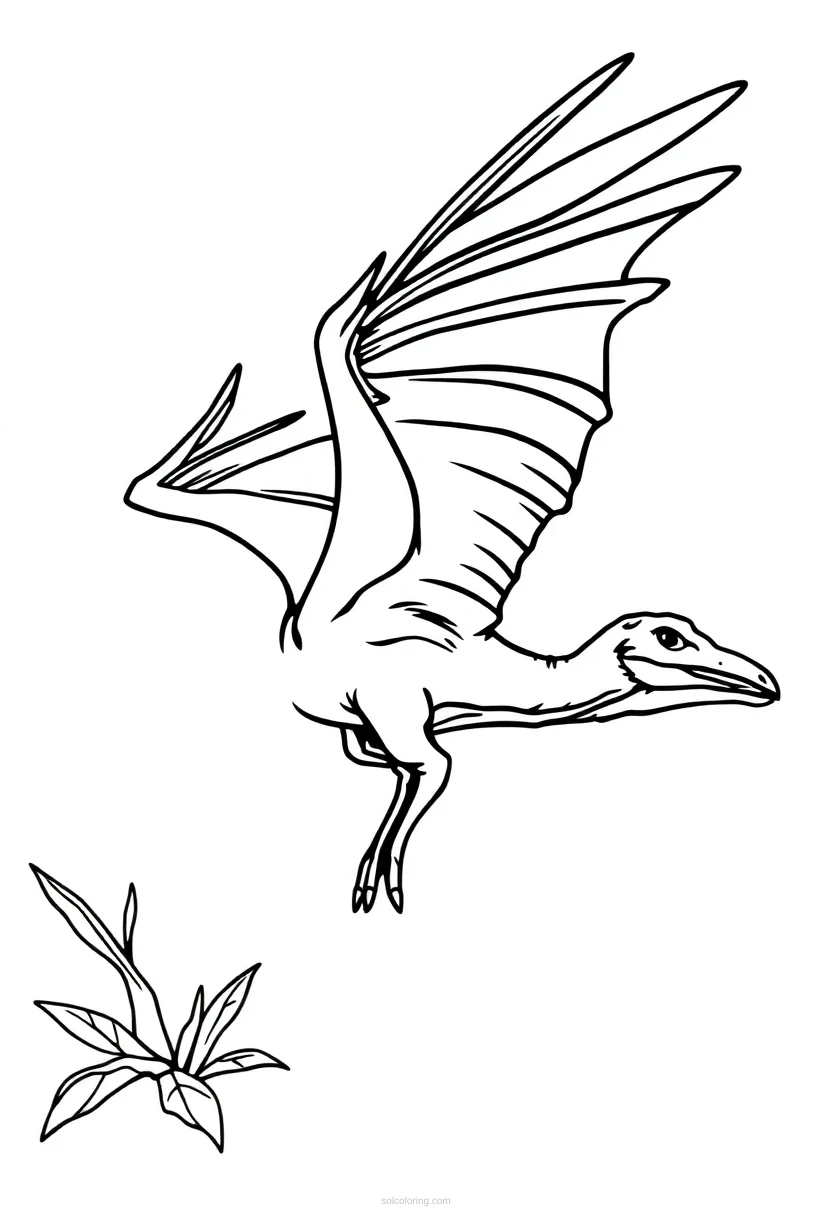Pterodactyl coloring page for kids