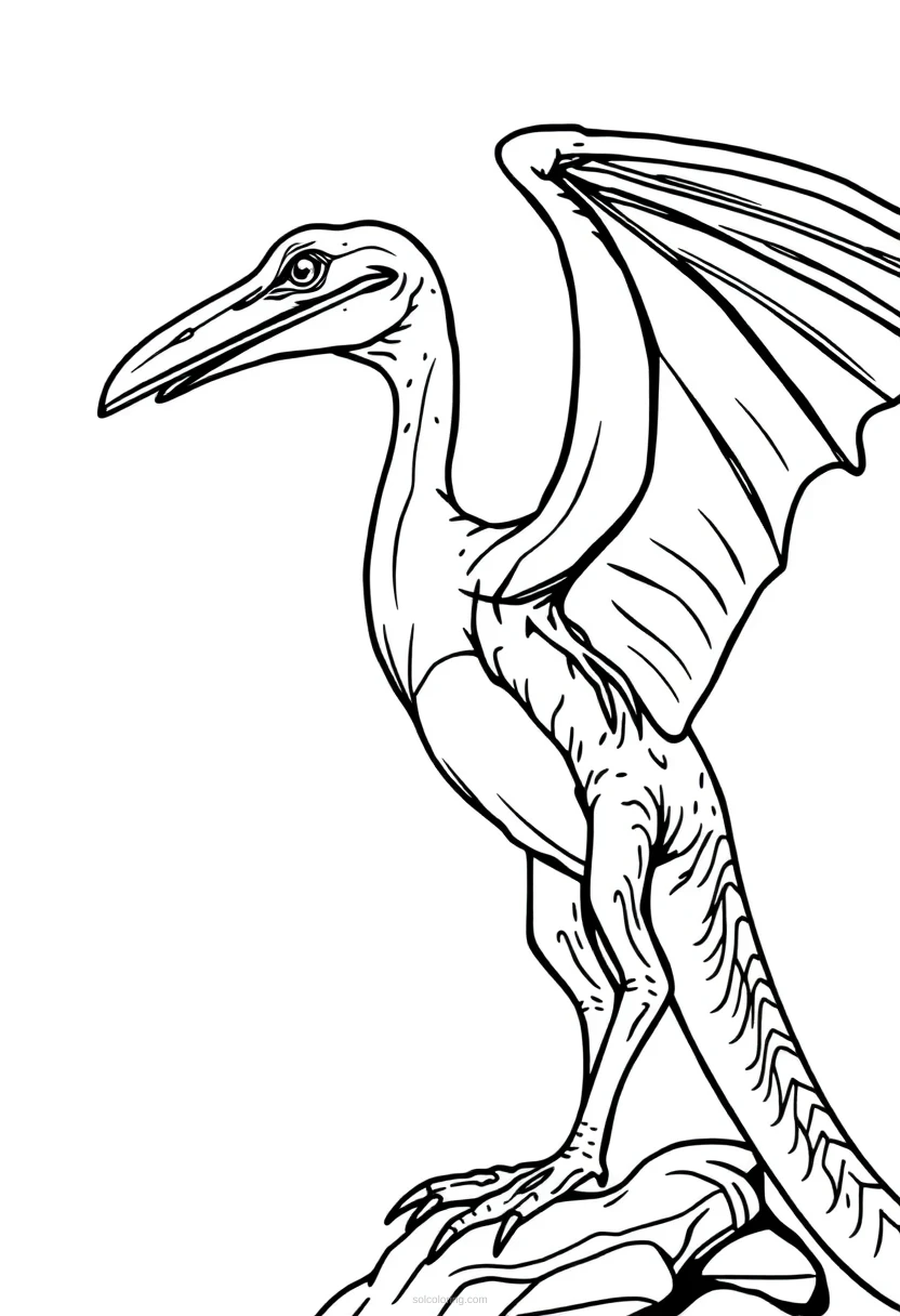 Pterodactyl coloring page for kids