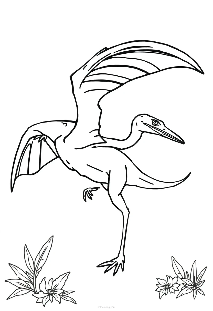 Pterodactyl coloring page for kids