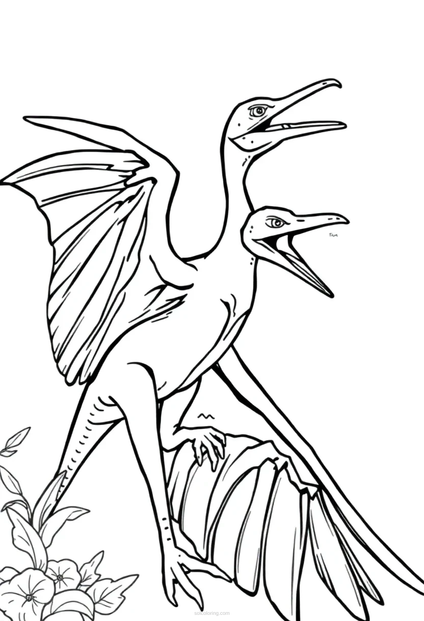 Pterodactyl coloring page for kids