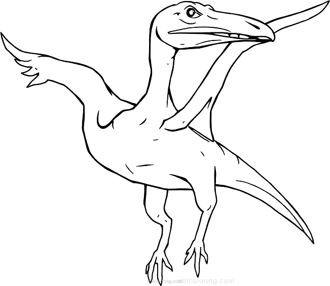 Pterodactyl coloring page for kids