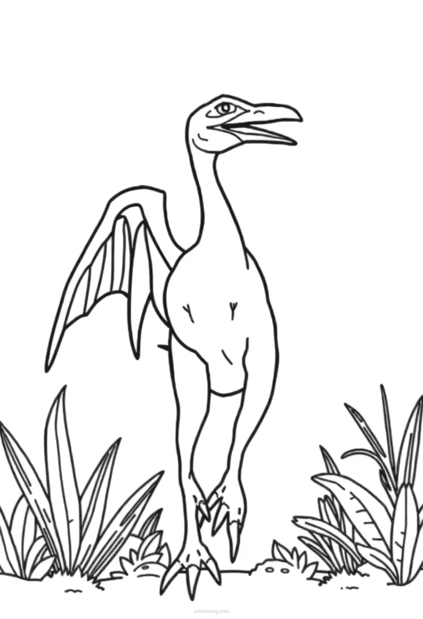 Pterodactyl coloring page for kids