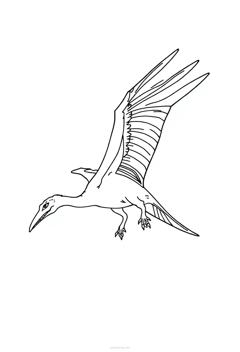 Pterodactyl coloring page for kids