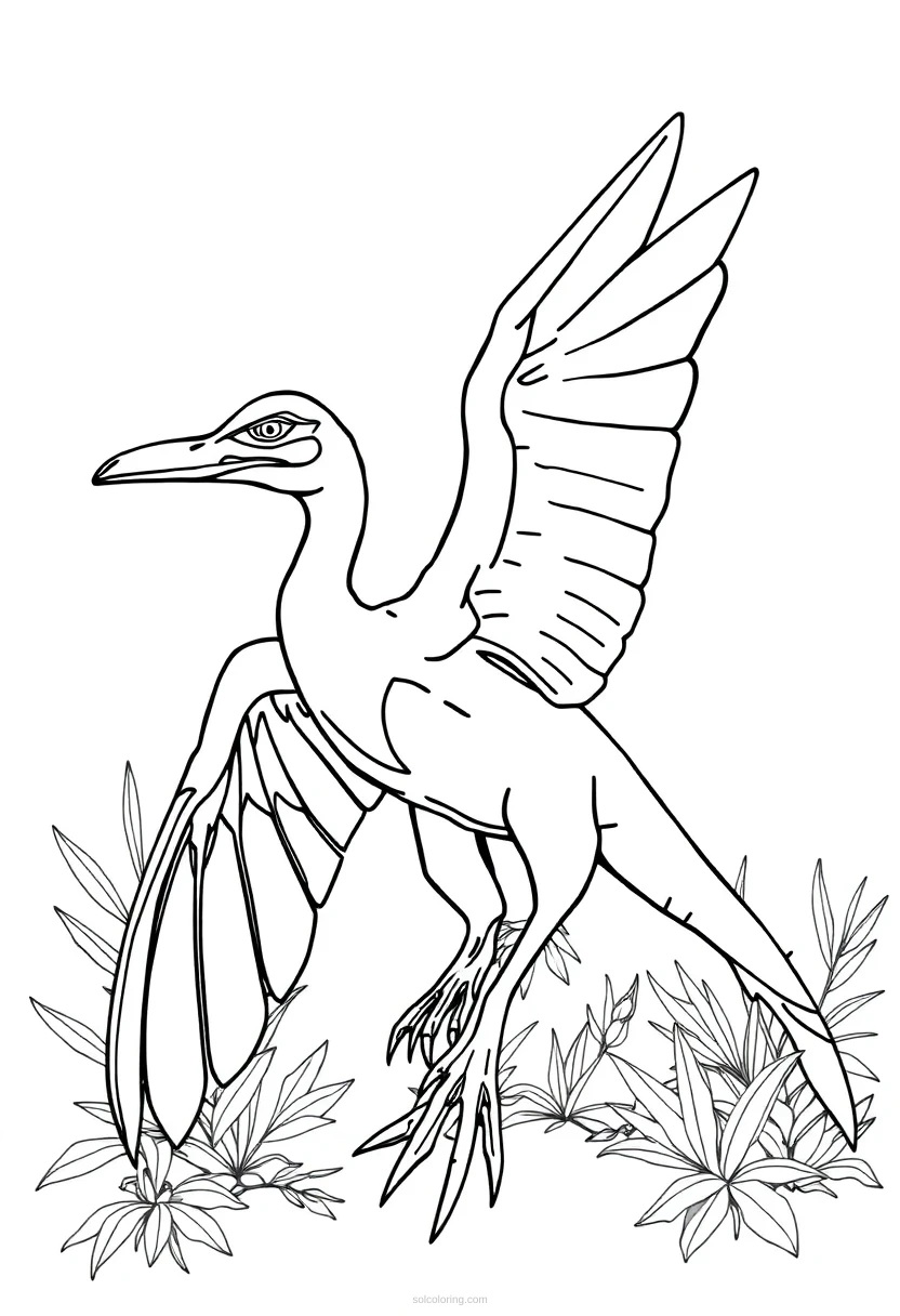 Pterodactyl coloring page for kids