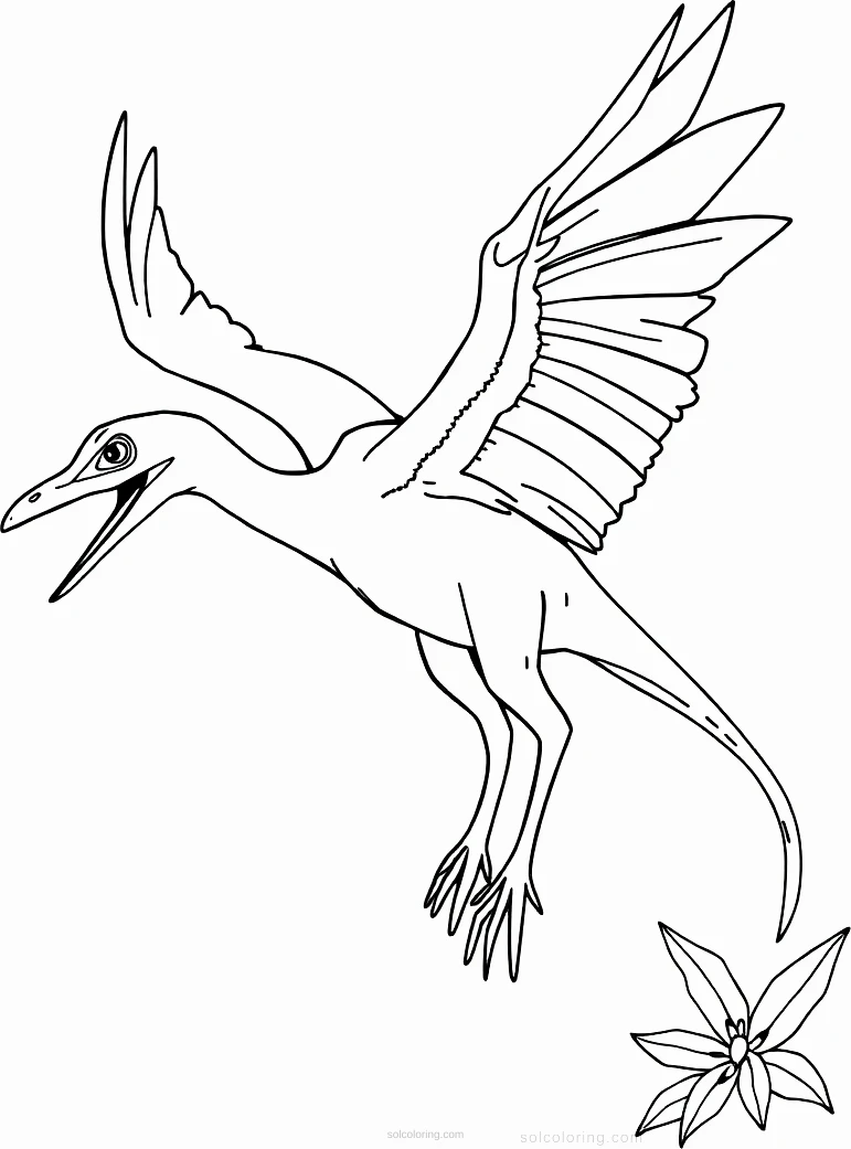 Pterodactyl coloring pages