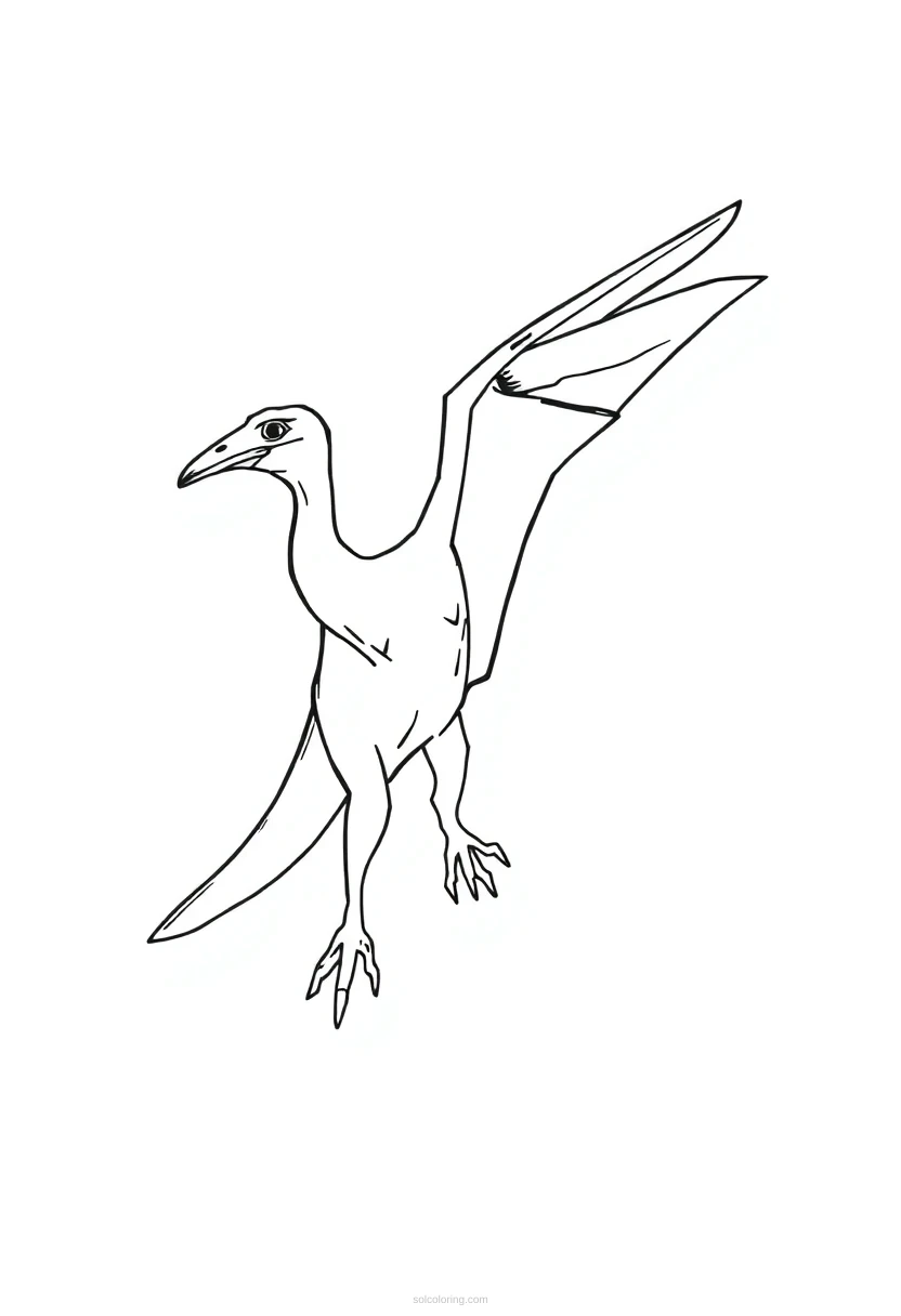 Pterodactyl coloring page for kids