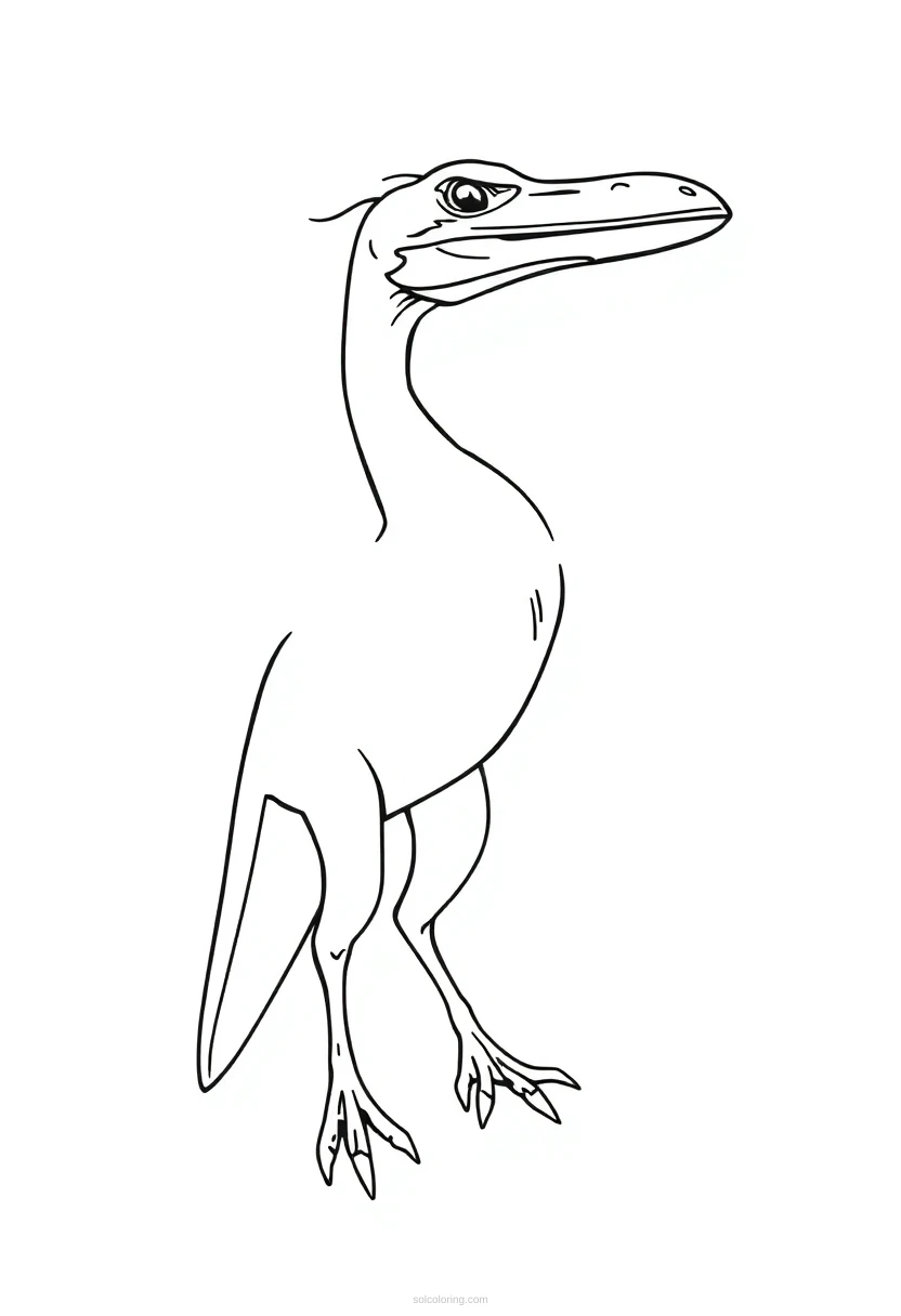 Pterodactyl coloring page for kids