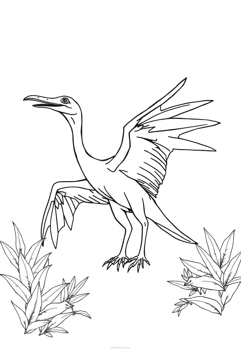 Pterodactyl Simple coloring pages