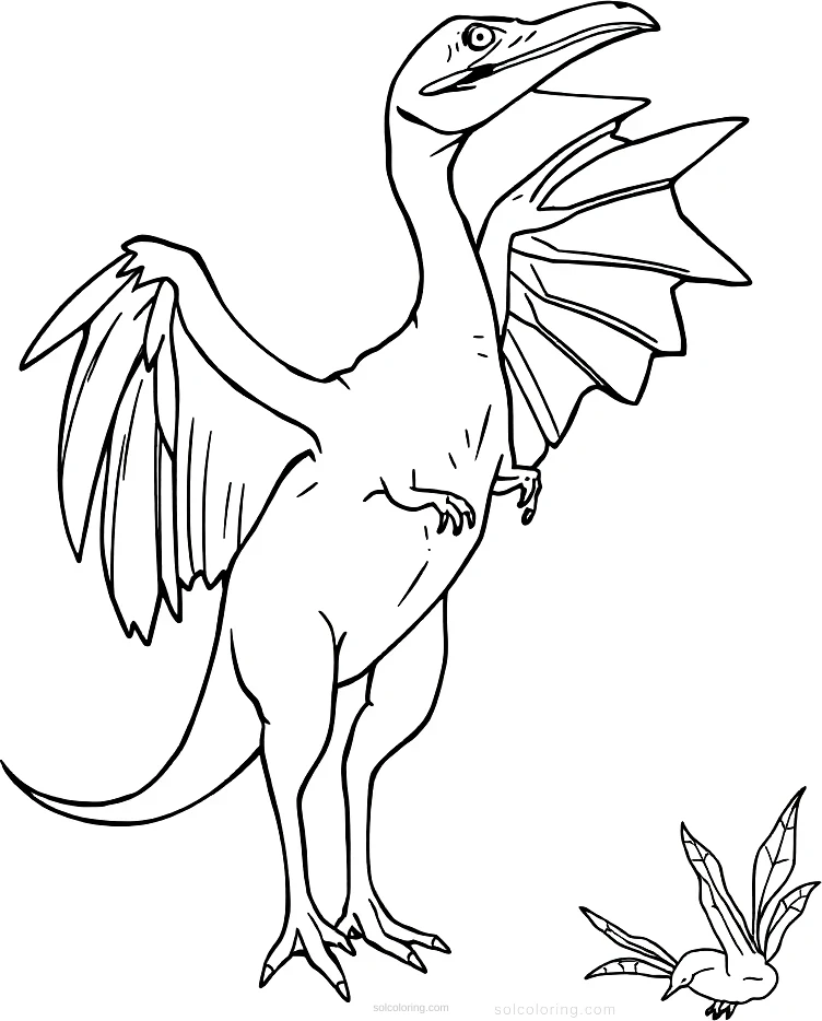 Pterodactyl coloring page for kids