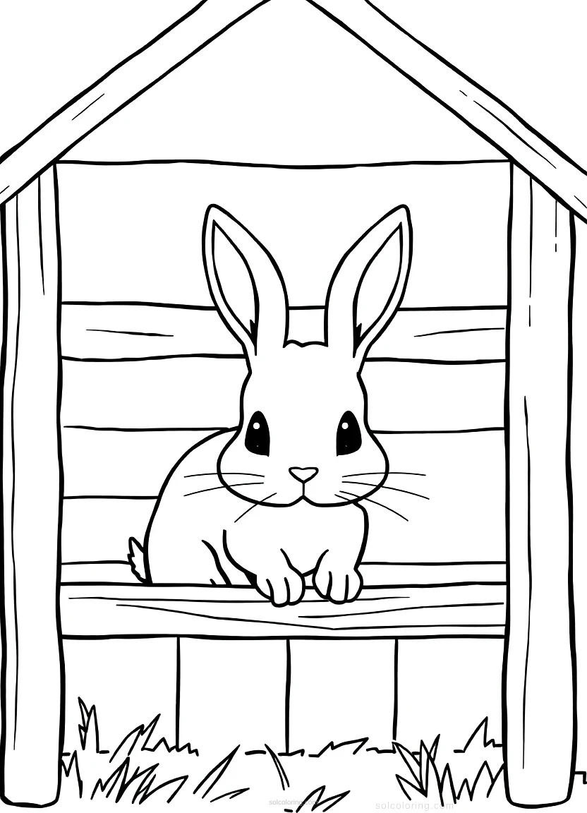 Rabbit in Hutch coloring page for kids