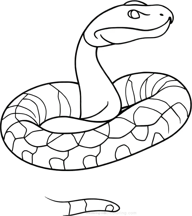 Rattlesnake coloring page for kids