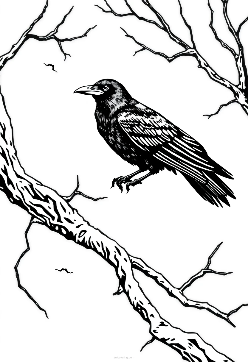 Raven on Branch coloring page for kids
