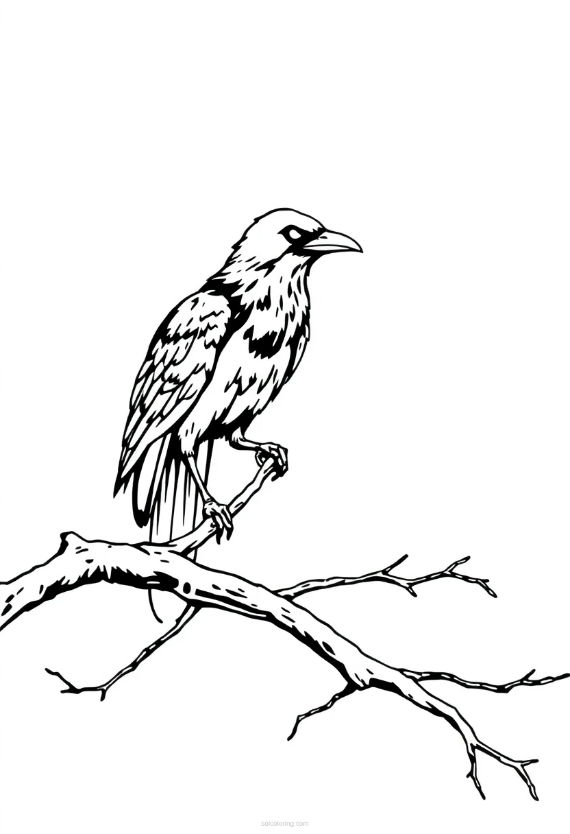 Raven on Branch coloring page for kids