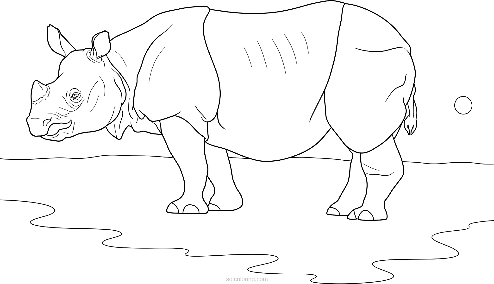 Rhinoceros coloring page for kids
