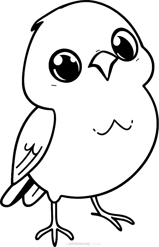 Robin coloring page for kids