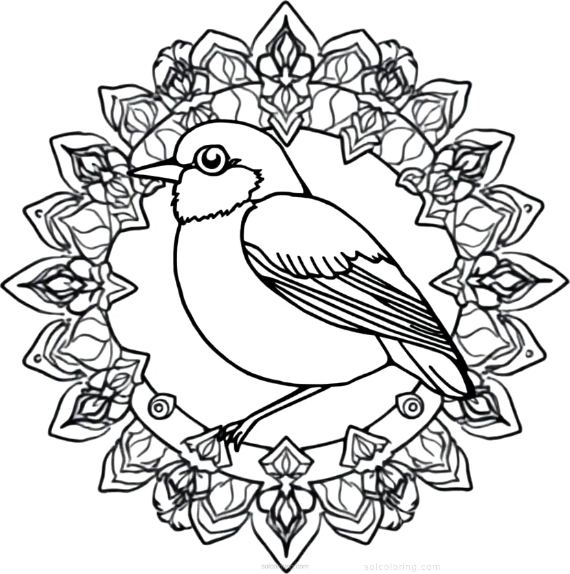 Robin coloring page for kids