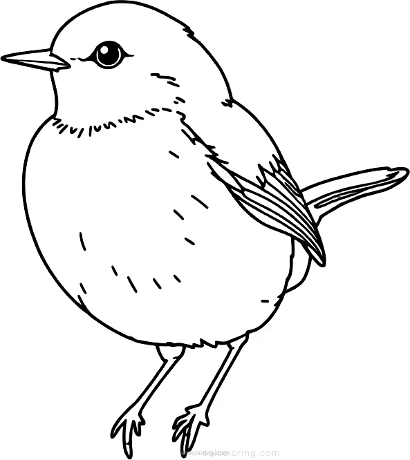Robin coloring page for kids