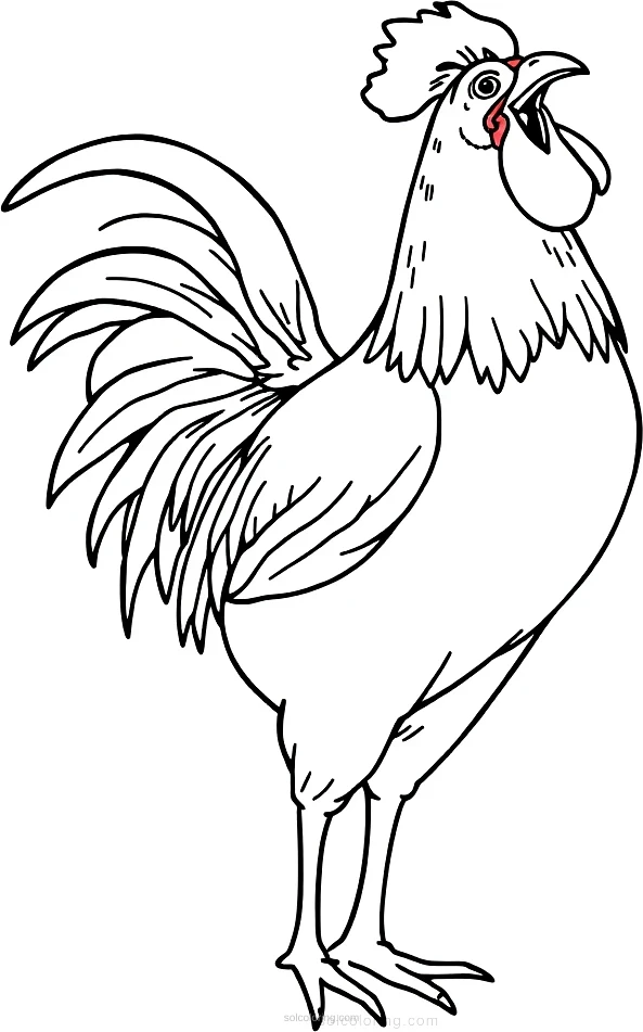 Rooster Crowing coloring page for kids