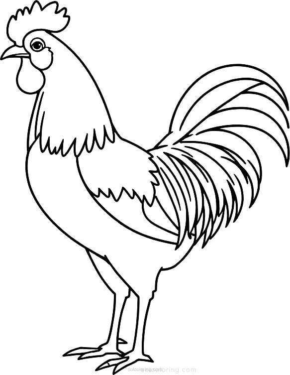 Rooster coloring page for kids