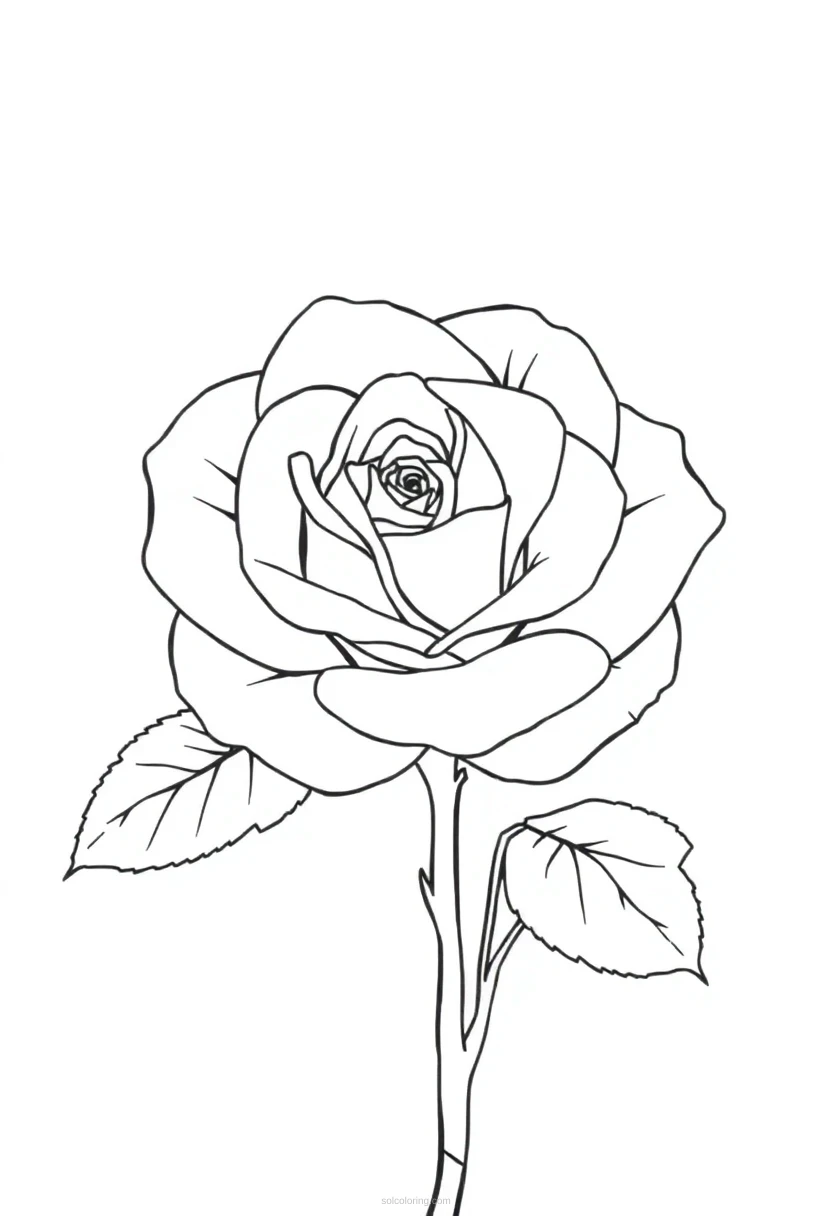 Rose coloring page for kids