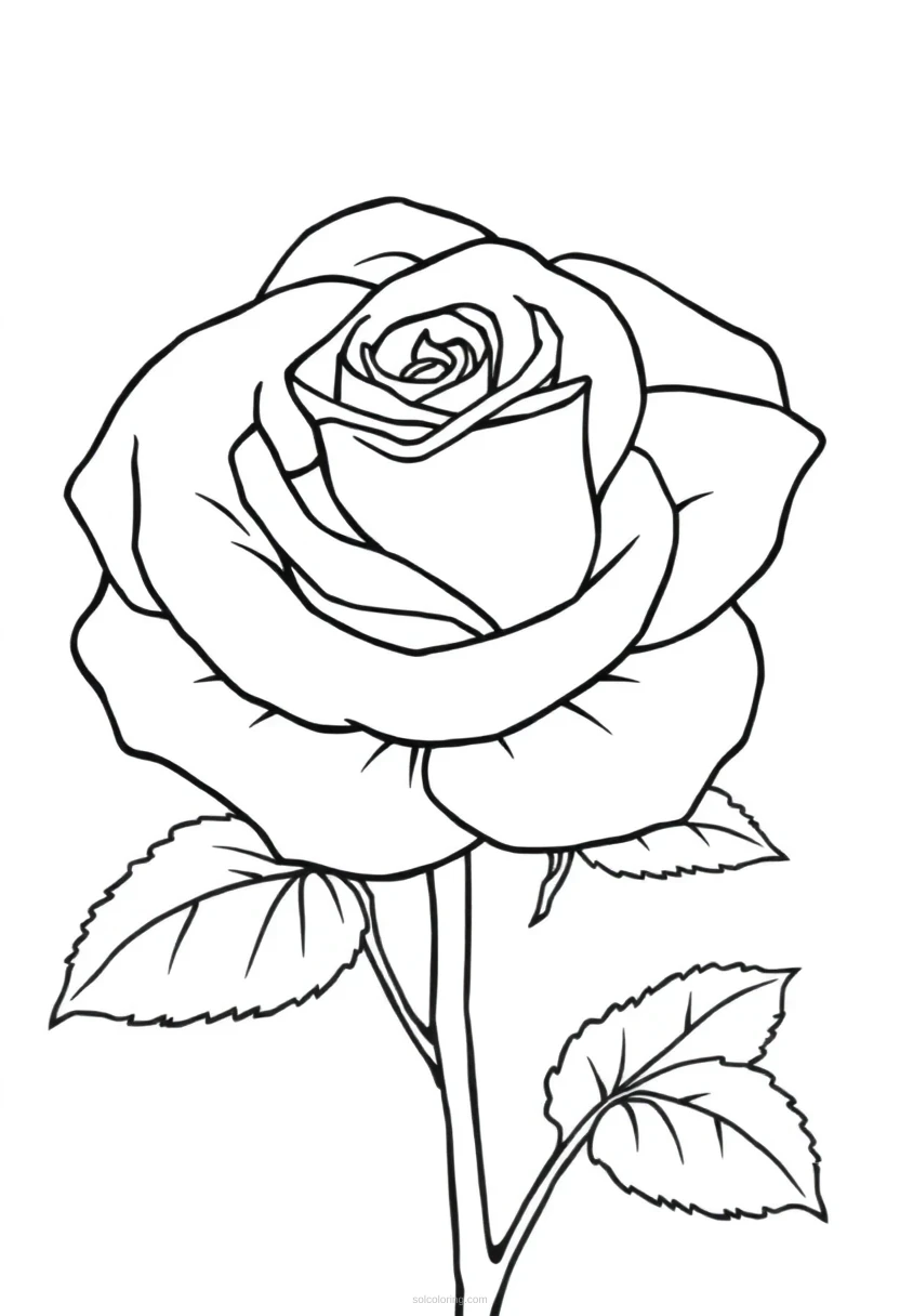 Rose coloring page for kids