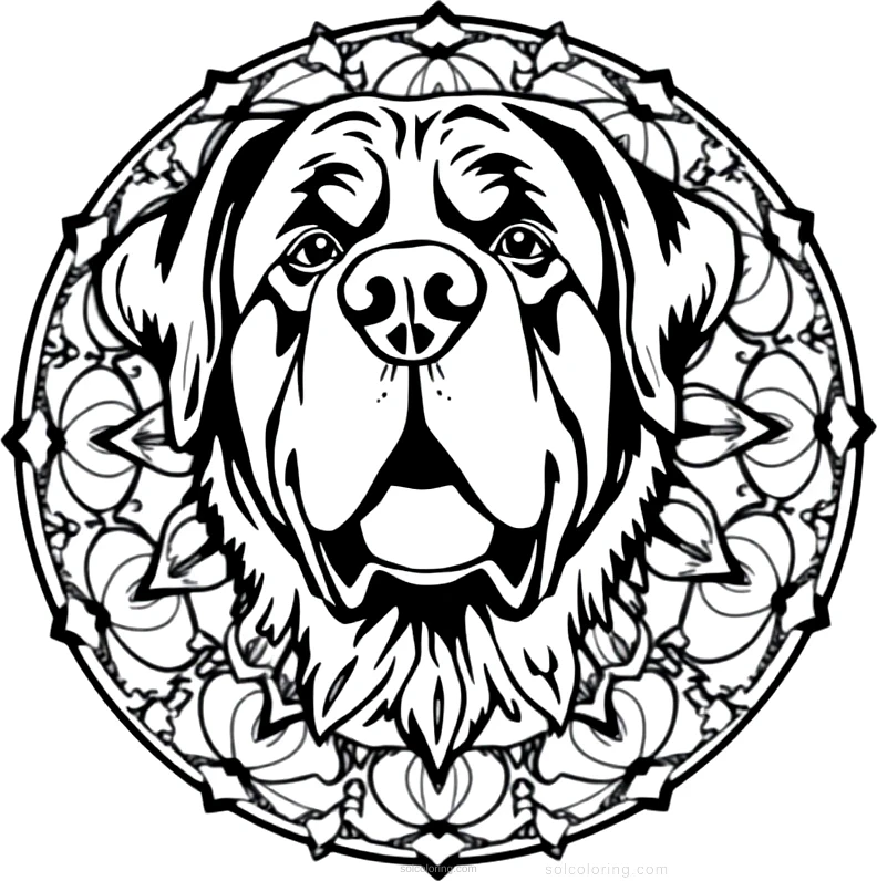 Saint Bernard Rescue Dog coloring page for kids