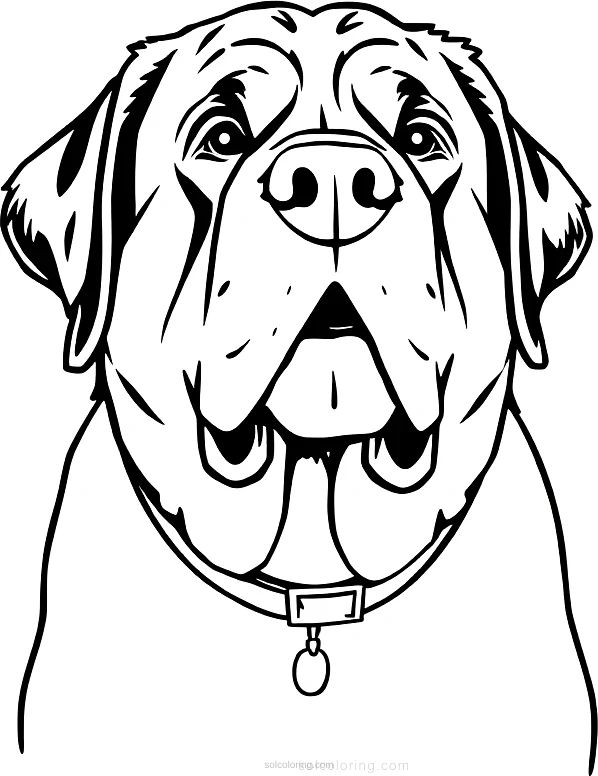 Saint Bernard Rescue Dog coloring page for kids