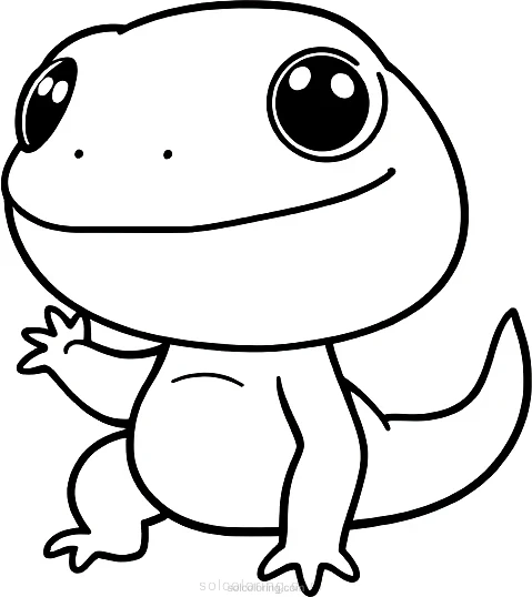 Salamander coloring page for kids