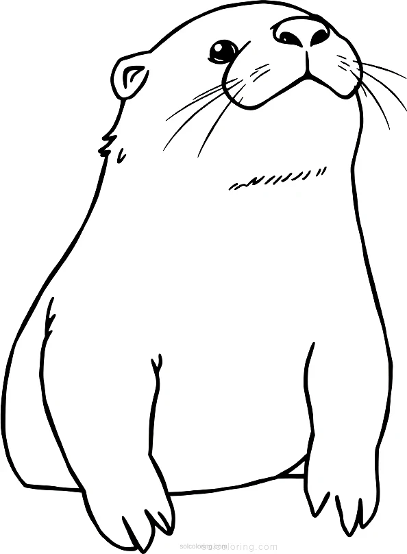 Sea Otter coloring page for kids