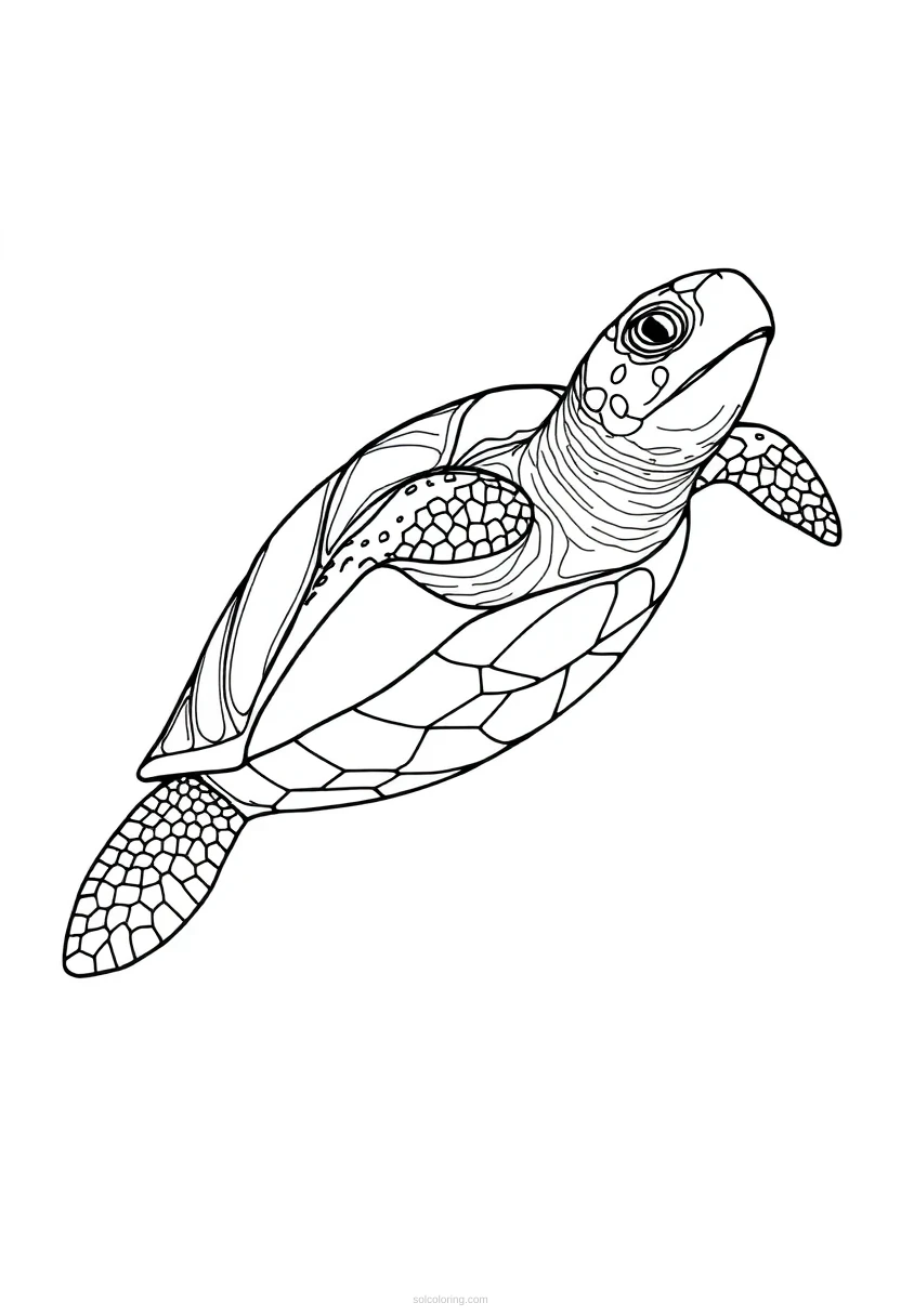 Sea Turtle coloring page for kids