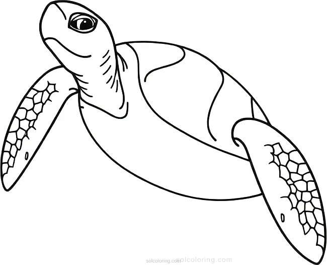 Sea Turtle coloring page for kids