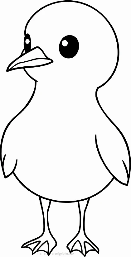 Seagull coloring page for kids