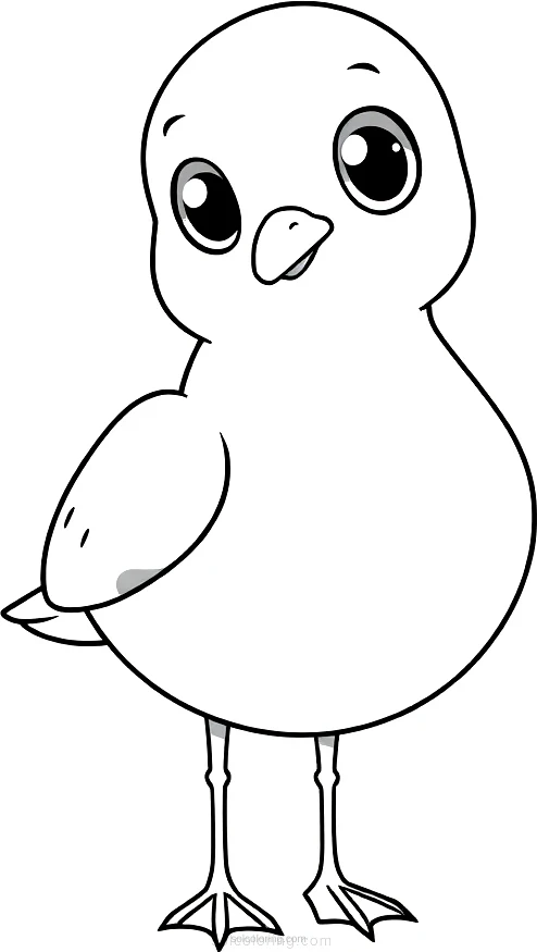 Seagull coloring page for kids