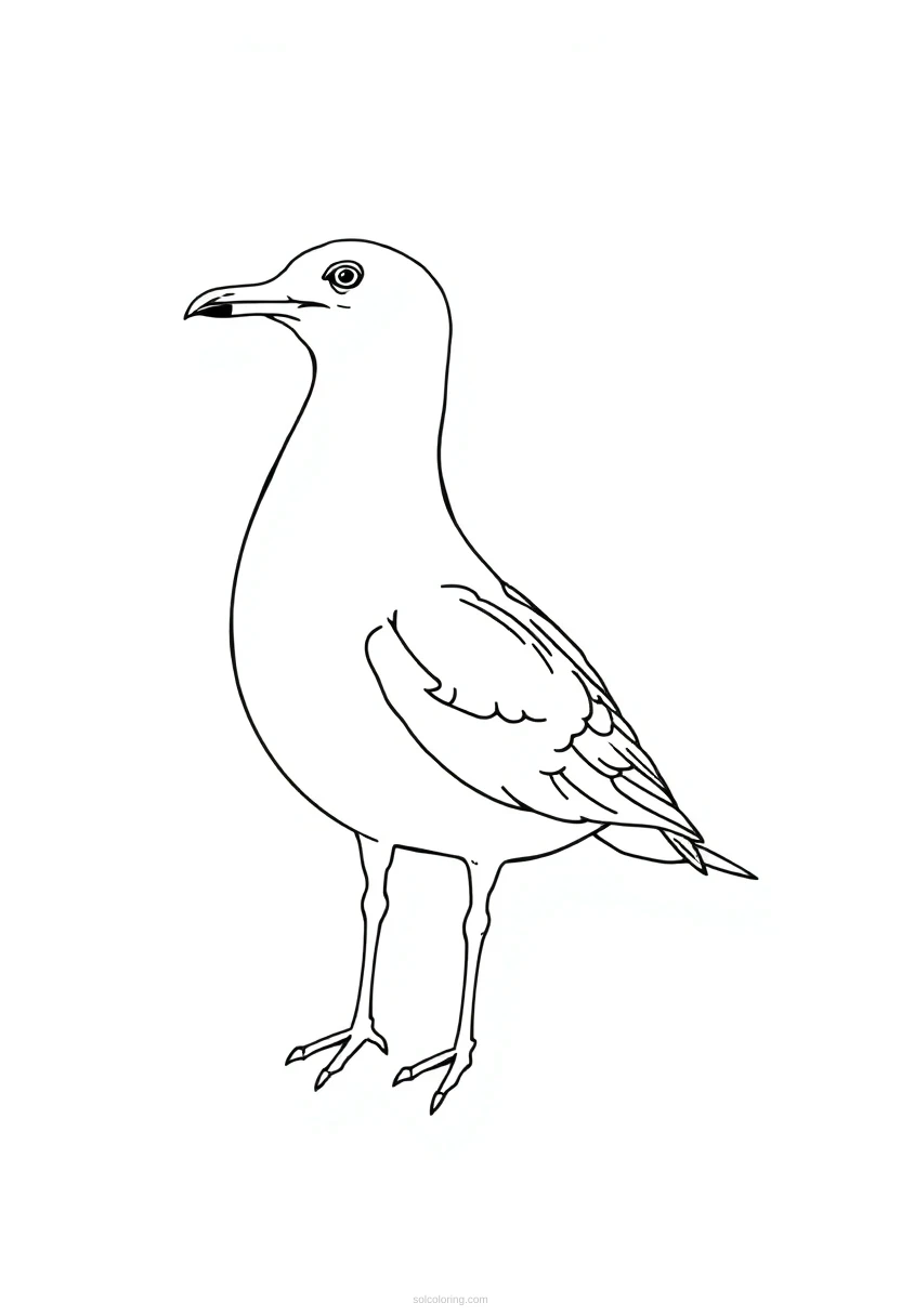 Seagull coloring page for kids