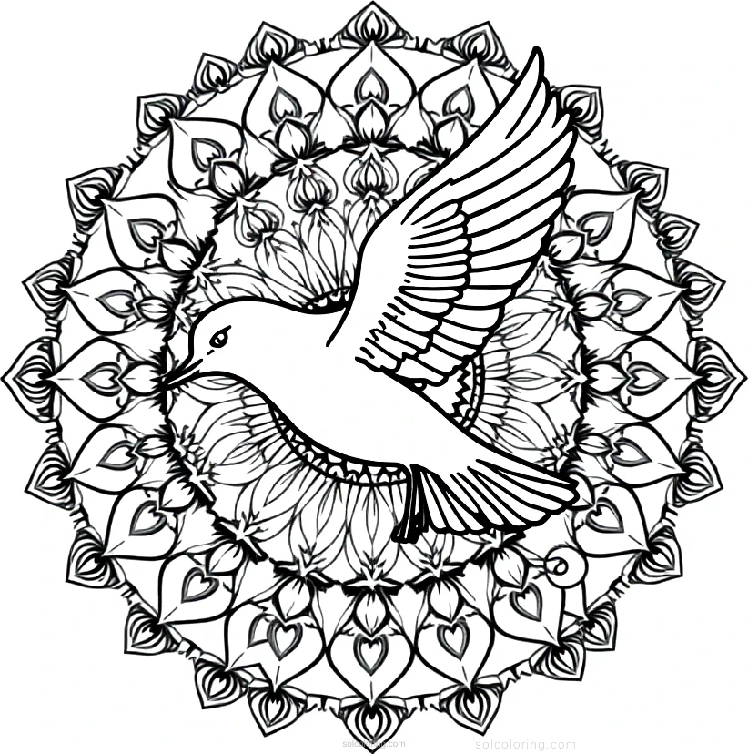 Seagull coloring page for kids