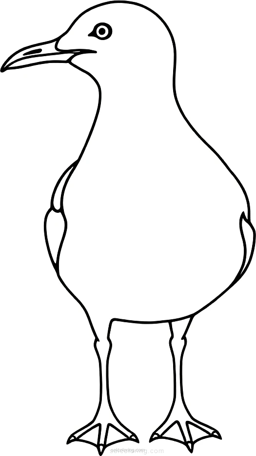Seagull coloring page for kids