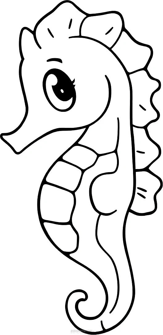 Seahorse coloring page for kids