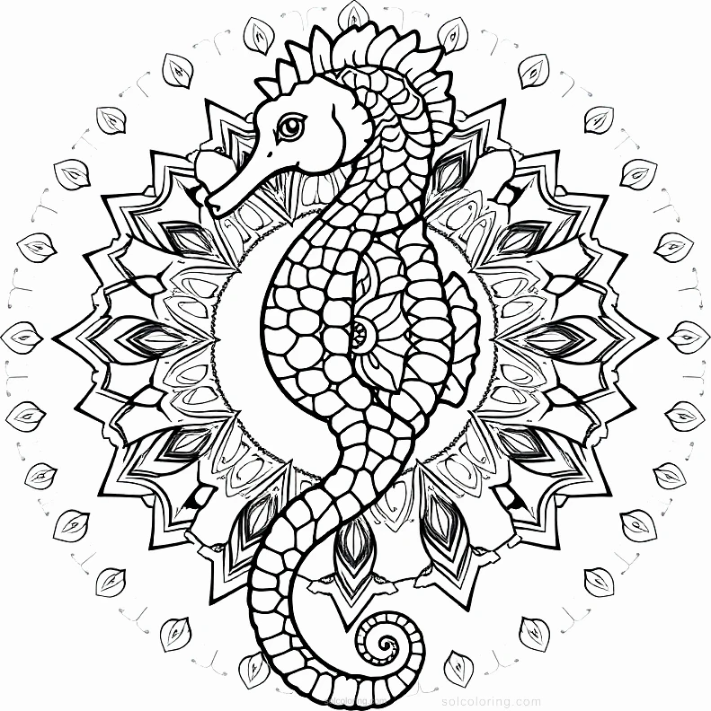 Seahorse coloring page for kids