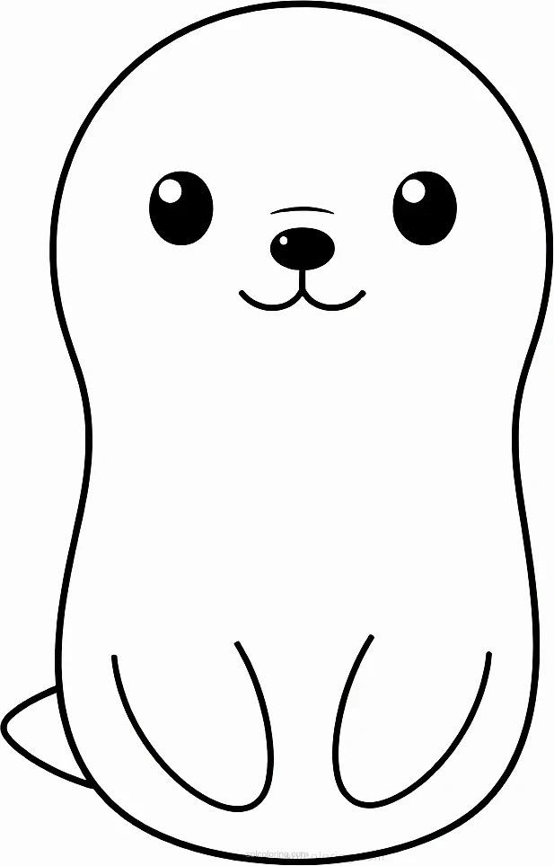 Seal coloring page for kids