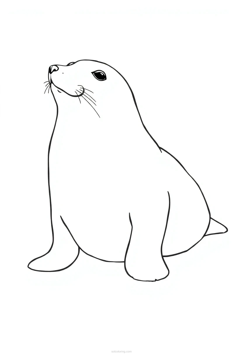 Seal coloring page for kids