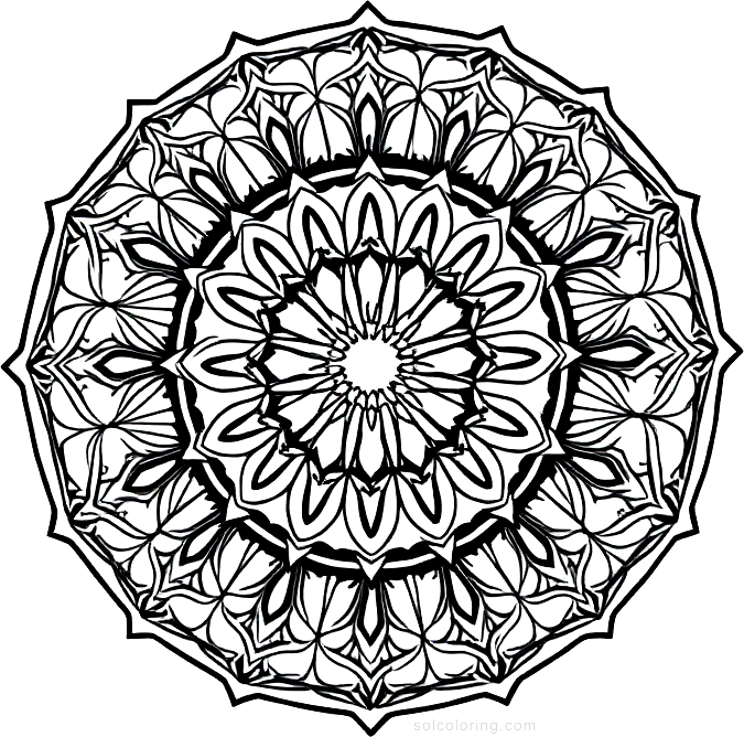 Seal coloring page, free printable