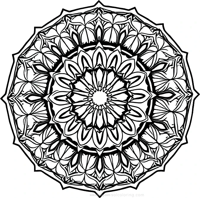 Seal coloring page for kids