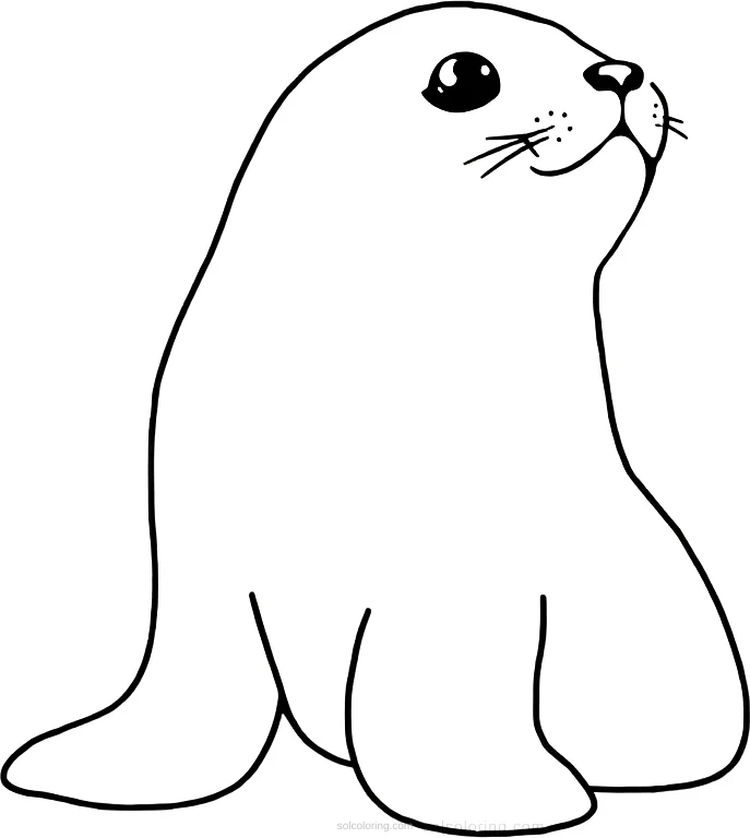 Seal coloring page for kids