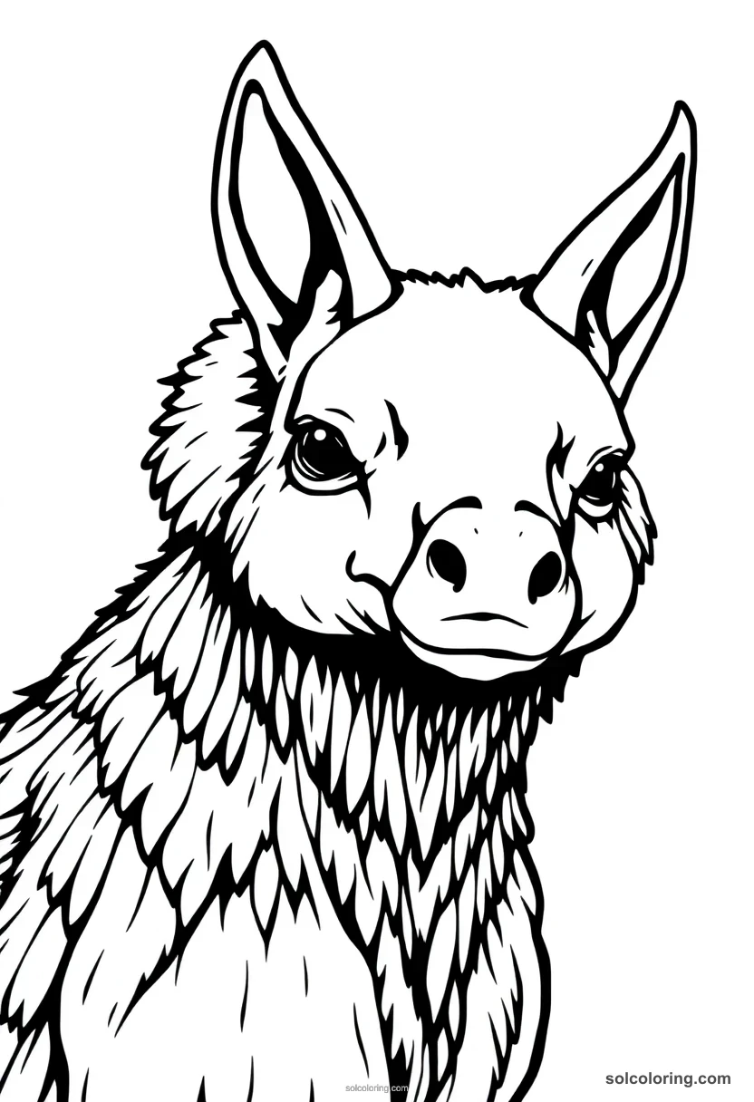 Set with Aardvark-Like Head detailed coloring page for kids