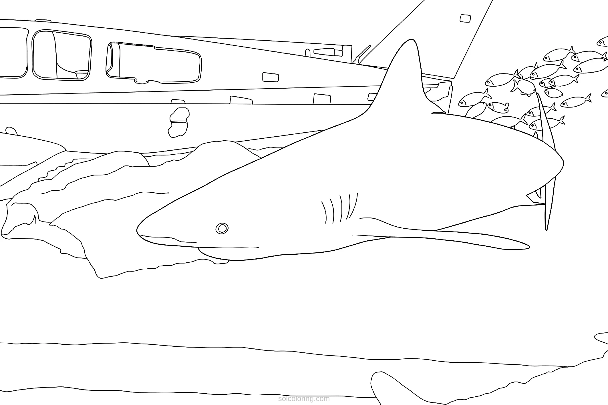 Shark coloring page for kids