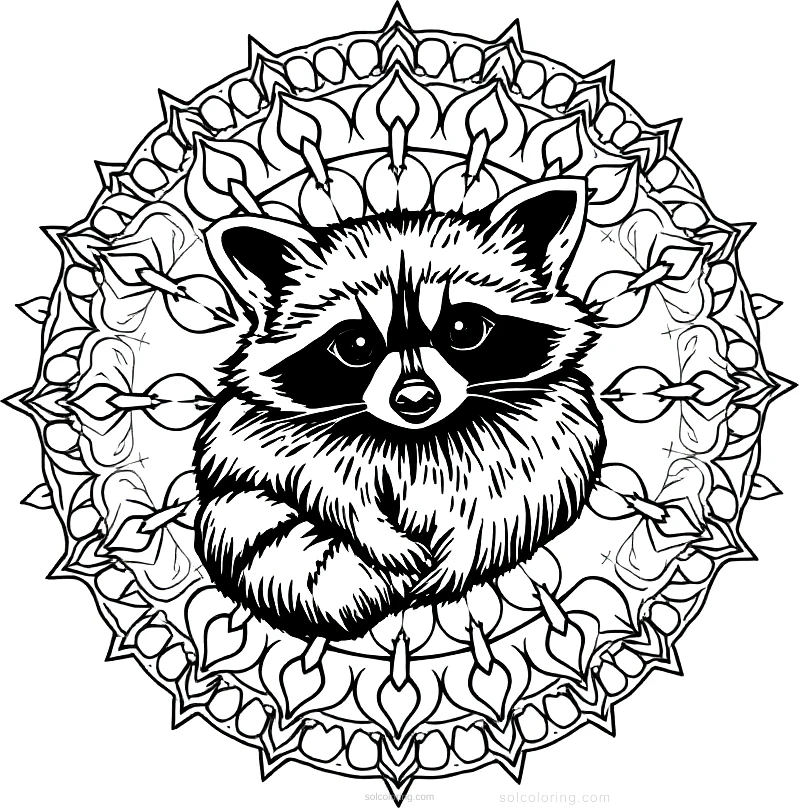 Small Raccoon coloring page for kids