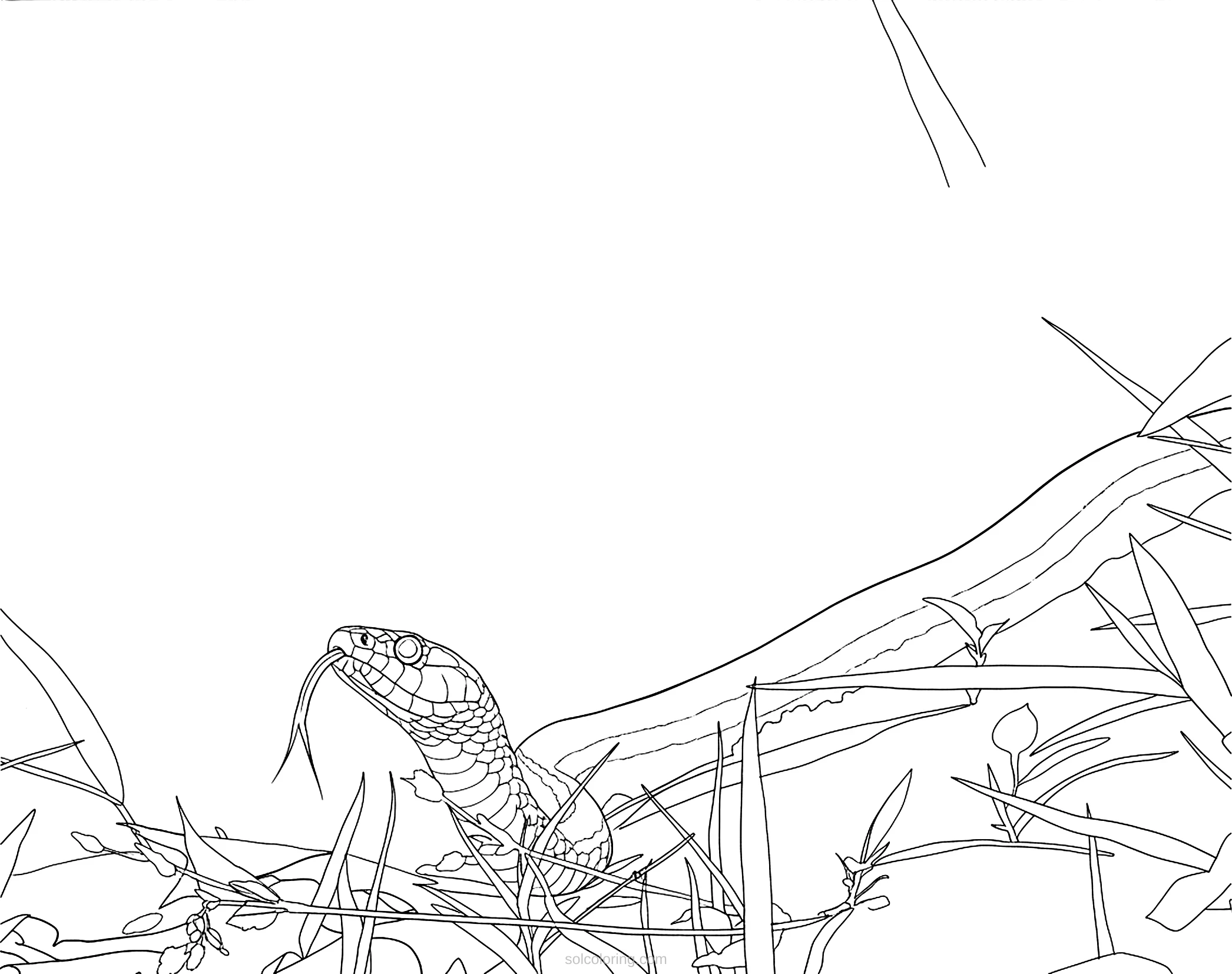 Snake coloring page for kids